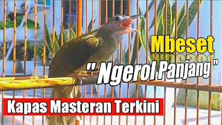 Download Lagu KAPAS TEMBAK betina MBESET NGEROL PANJANG. MP3