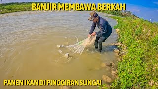 REJEKI,, JALA IKAN SETELAH BANJIR PANEN IKAN DI PINGGIR SUNGAI