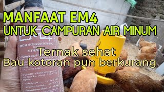 Download lagu HOW TO USE EM4 FARMING FOR CHICKEN DRINKING