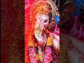 Ganesh chaturthi status ganeshchaturthi whatsappstatus youtubeshorts shorts instagram