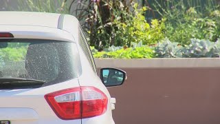 Woman charged for leaving dog in hot car