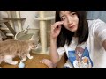 猫のしゃっけ、に貢がせていただきました