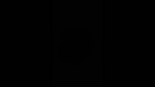 el corrido del pino-shet