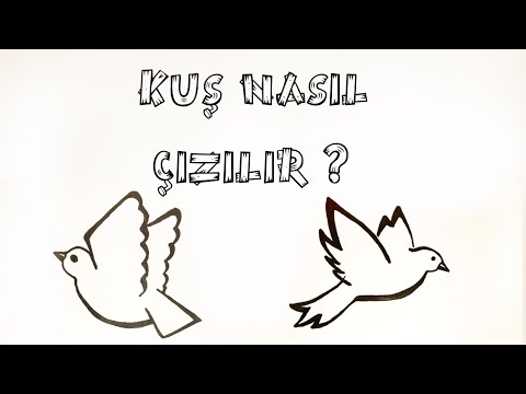 Video: Göçmen Kuşlar Nasıl çizilir