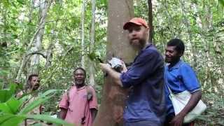 Deploying Acoustic Recorders in Papua New Guinea screenshot 3