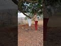 Bayangicala Nkulunkulu Comedy Entertainme Funny Whowillbemylifepartnerta Lifeisbutadream Bayangicala Nkulunkulu Comedy Entertainme Funny Whowillbemylifepartnerta Lifeisbutadream
