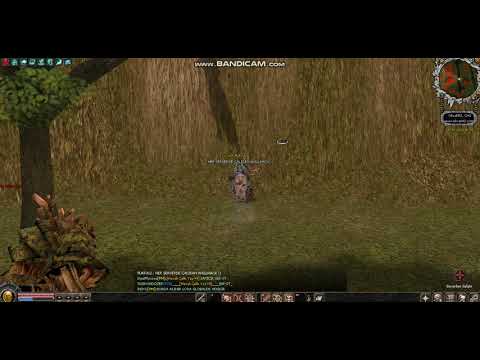 METİN2PVP  SERVERLERDE