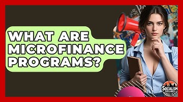 What Are Microfinance Programs? - Socialism Explained