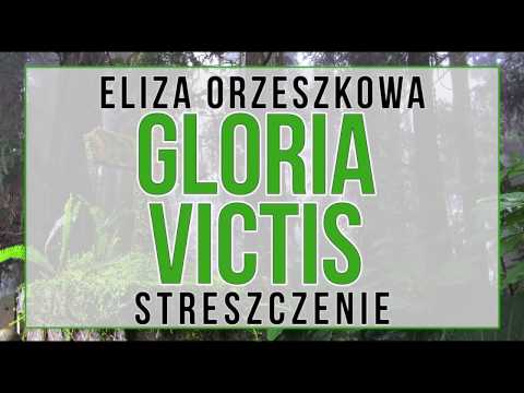 Gloria victis - streszczenie