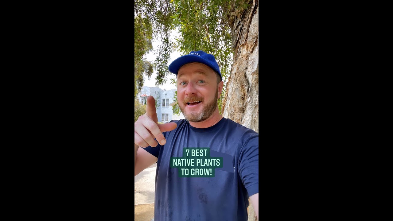 7 California native plants to grow? I GOT THIS! 🌱 