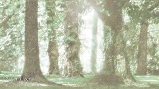Studio Ghibli music 2021 | ༻ Rewrite Arrangement Album Branch (Full Album).༻❣ #Ghiblimusic❣