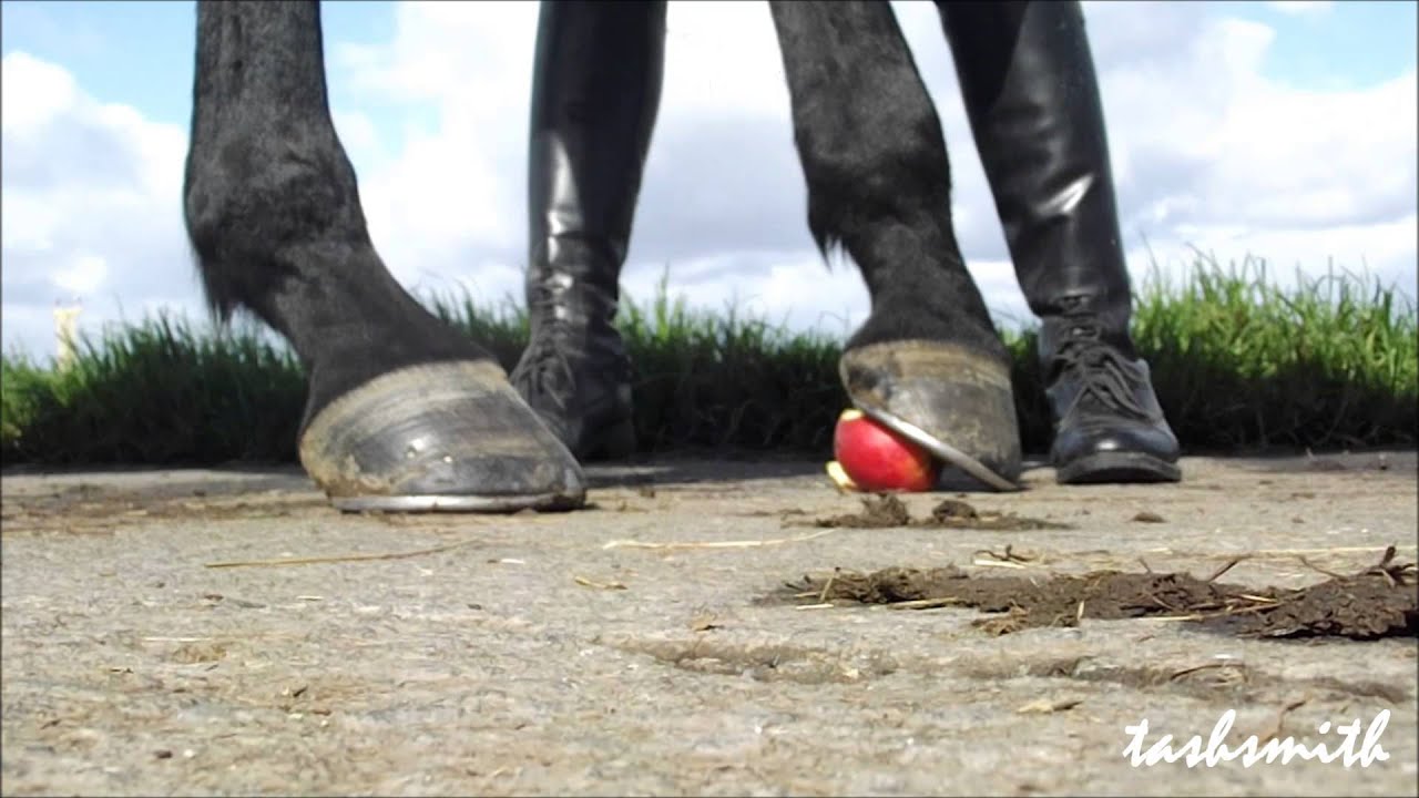 Don't be a Fruit | tashsmith