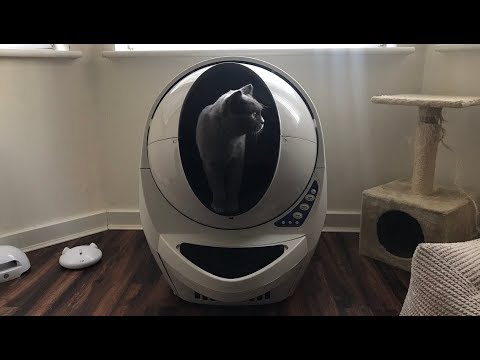 best automatic litter box cleaner Litter Robot III Open Air Review (after 3 Months)