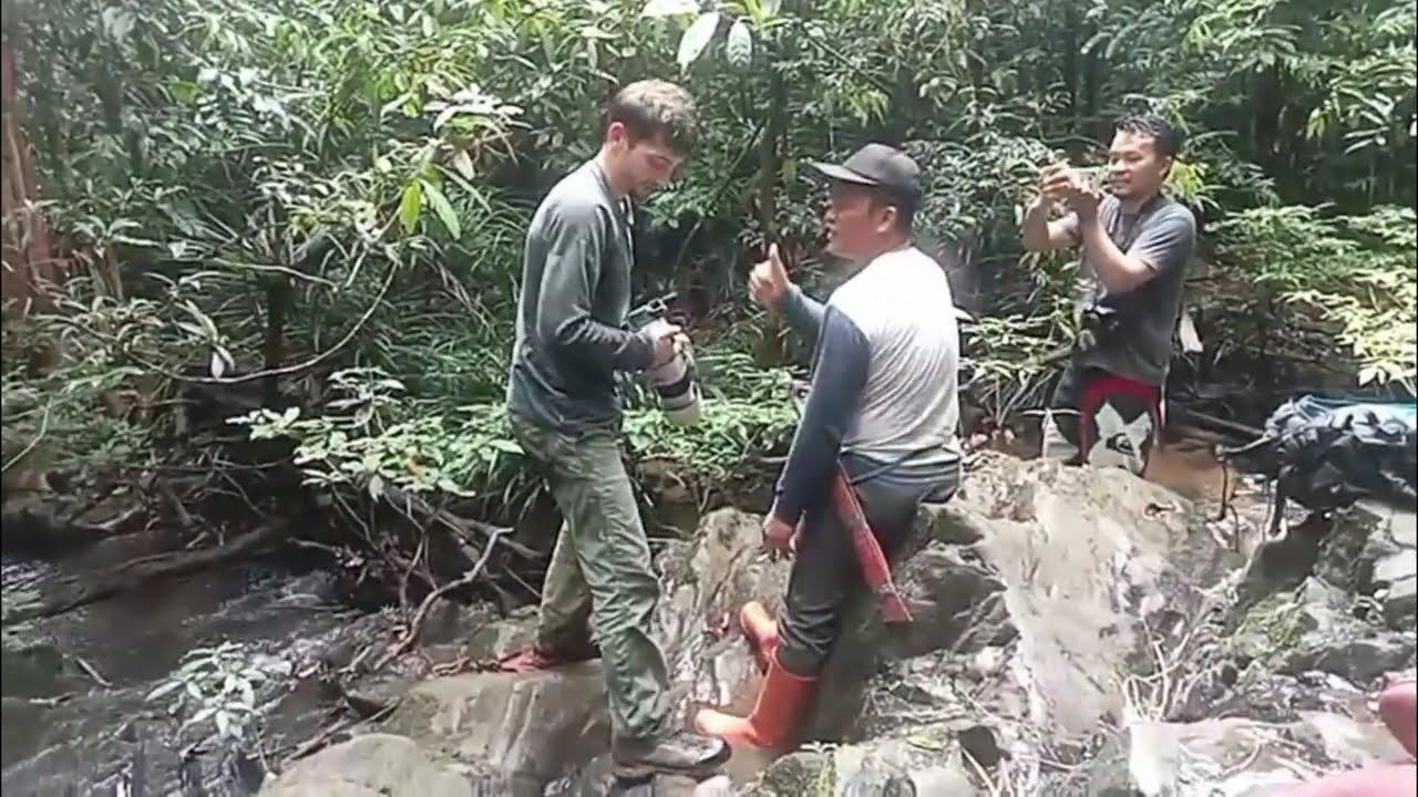 Ngebolang bersama Bule dalam hutan Kalimantan