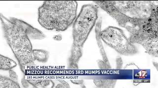 Mizzou recommends third MMR vaccine for students