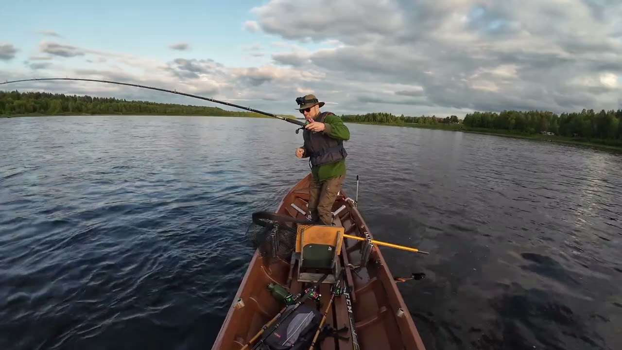 Tornionjoki - Lohen jallitusta - 26.6.2025