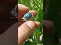 BATU PIRUS PERSIA BIRU LAWASAN
