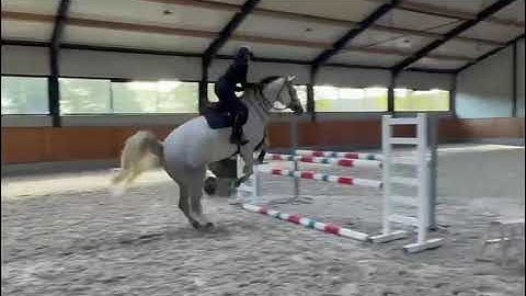 251113d  Homevideo EASTER