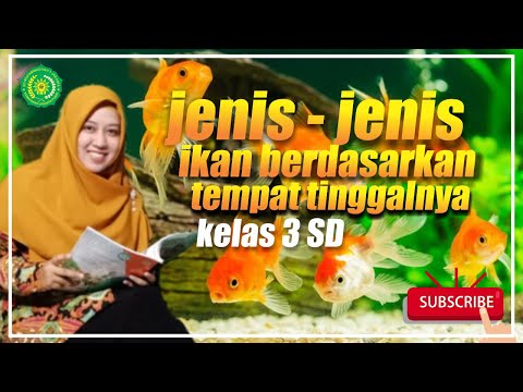 Video: Apa Jenis Ikan Yang Terdapat Di Oka