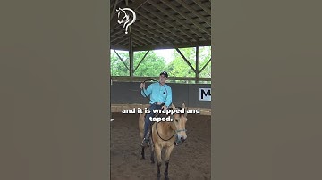 Intro To Riding Bridleless! Part 13! | The Horse Guru-Michael Gascon