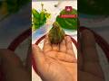 How To Make Easy Paan Modak | Paan Masala Modak ❤️🔥#shorts #cooking