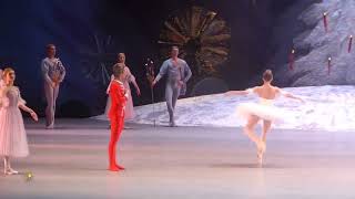 The Nutcracker pdd - Goryacheva/Skvortsov
