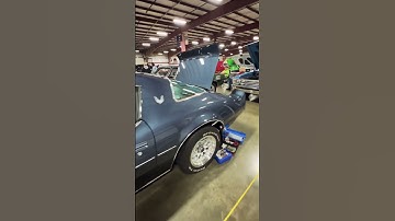 1981 Pontiac Firebird  #shorts #carshow #classiccar #pontiac #pontiacfirebird #firebirds