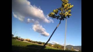 Soja ft. Damian Marley - Your Song