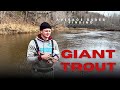 Rod and reel fishing for Giant trout! 