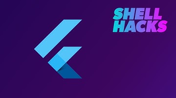 ShellHacks 2020 | Flutter Workshop