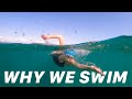 Why We Swim | World Swim Day 2020