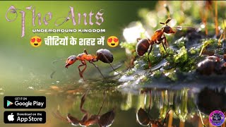 The Ants: Underground Kingdom Walkthrough Gameplay | MMO Games (Android/iOS) 🐜🐜 screenshot 2