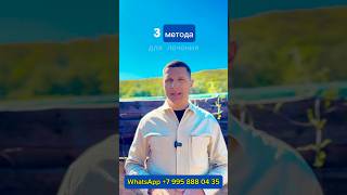 ТОП 3 МЕТОДА ЛЕЧЕНИЯ ЦИРРОЗА ПЕЧЕНИ