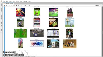 Tensorflow object detection tutorial part 2 - understanding basilia conditions