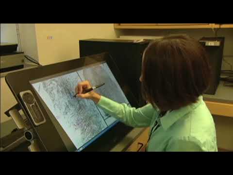 ახალი ბაზა ამოუცნობი გვამების ვინაობის დადგნას აადვილებს