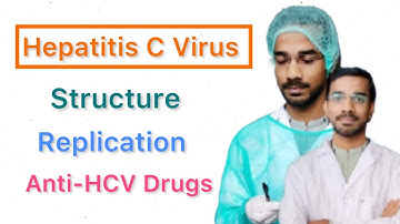 Hepatitis C Virus (HCV) | Structure | Replication