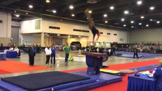 Caroline Pedro Vt Aa Hni 2016