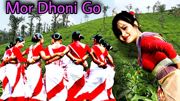 Mor Dhoni Go//Toke Bor Mon Lagi Jai|| Jobeen Garg Hit Song||Jhumur Video Song||Adivasi Song