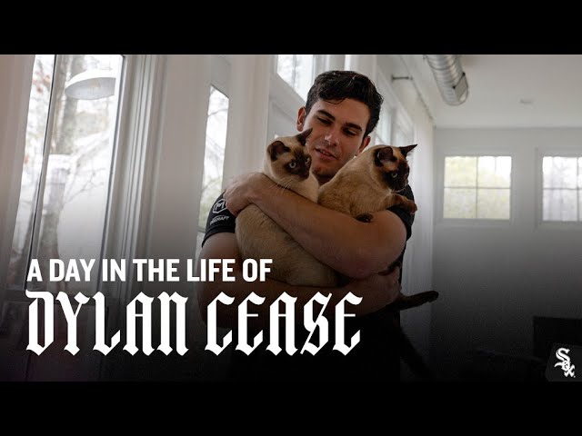 dylan cease funny