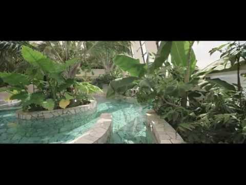 Spa Deep Nature - Center Parcs - Domaine du Bois aux Daims