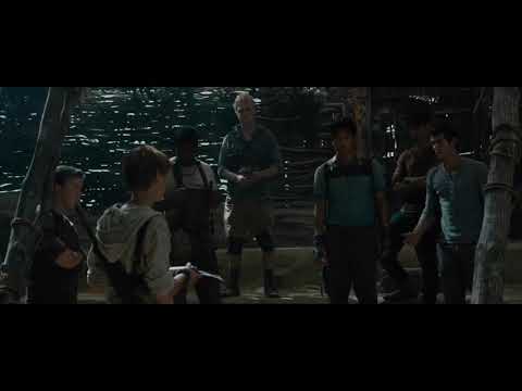 Newt makes Thomas a Runner [The Maze Runner] 