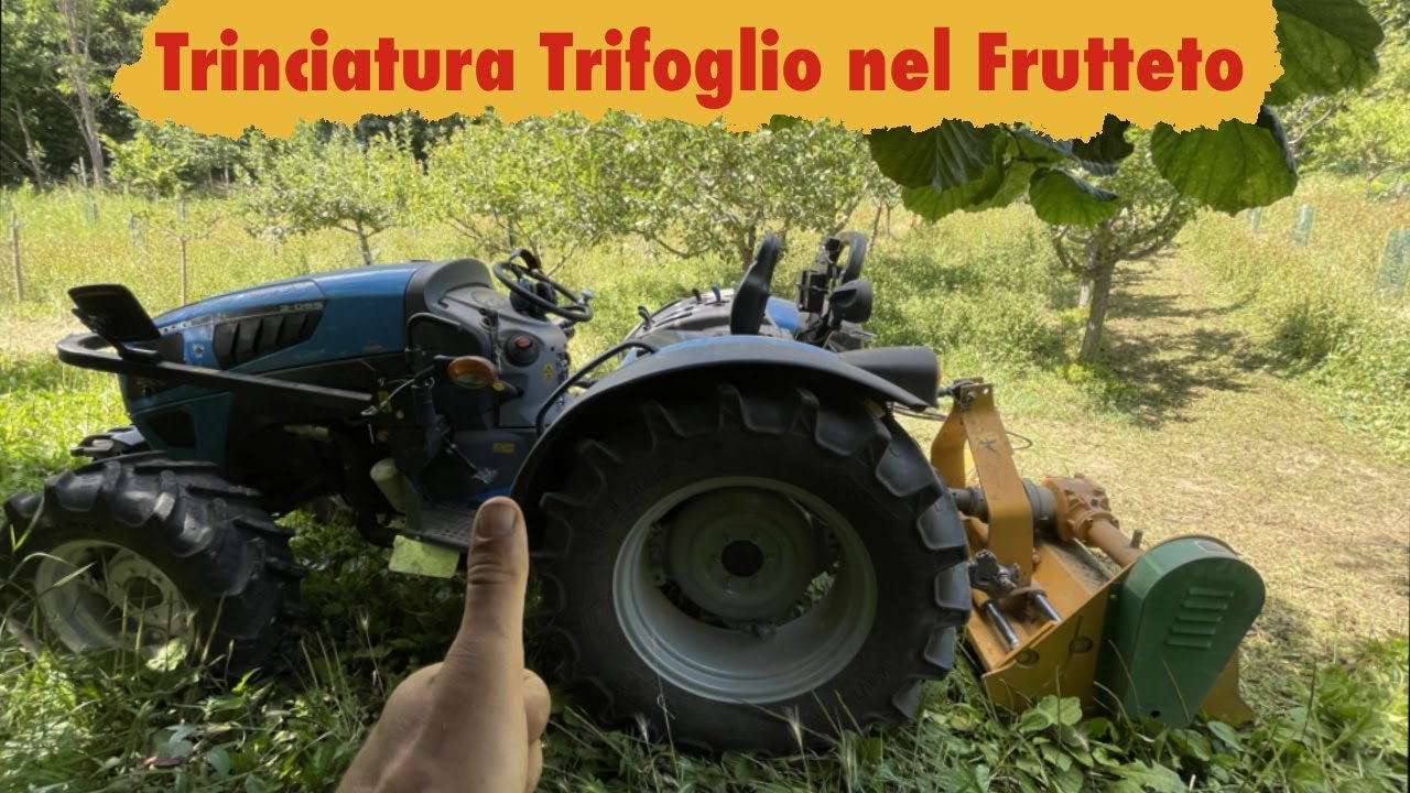 Trinciatura Frutteto in montagna ⛰- Landini 2-55 con Trincia pesante RCM