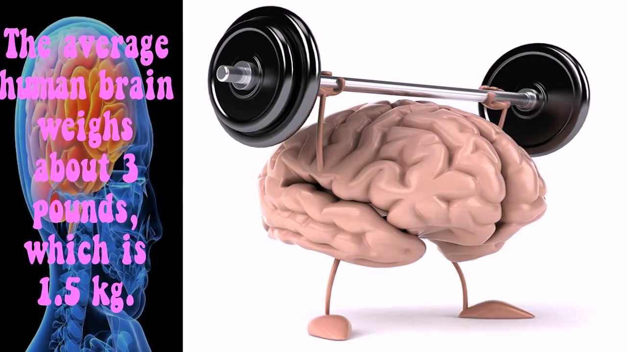 Их поменяли мозгами. В чем нуждается мозг. Включи мозг и работай.