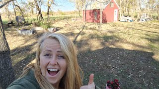 2 Year Update On 6,000 Fixer Upper