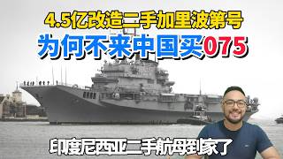 Why Would Indonesia Spend $450 Million Refitting the Used Garibaldi Instead of Buying a Type 075 ...