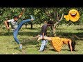 Top New Comedy Video 2019  Try To Not Laugh  Episode-42  By Fun ki vines