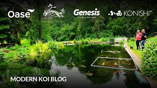 Modern Koi Blog #5995 - Robert's massive 200,000 liter natural koi pond