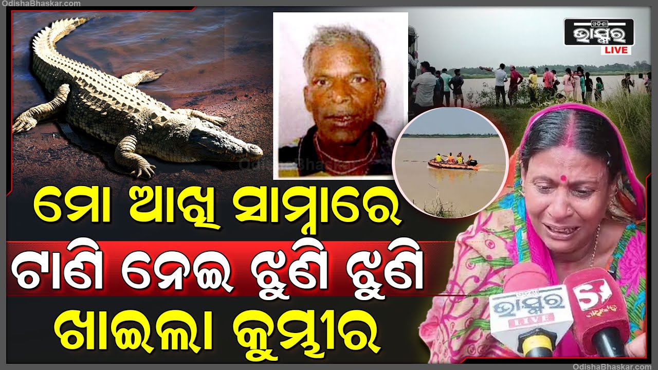 ନଦୀ କୂଳରେ ବସି କାନ୍ଦୁଛି ସାନ ଭାଇ... ମୋ ଆଖି ସାମ୍ନାରେ ଭାଇକୁ ଖାଇଗଲା, ୨ ପିଲାଙ୍କୁ ଅନାଥ କରିଦେଲା କୁମ୍ଭୀର...