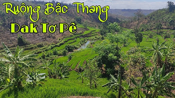 Ruộng Bậc Thang Đak Tơ Pê Xã Trang Đăk Đoa Gia Lai || Tây Bắc Thu Nhỏ Ở Tây Nguyên/Thác Đôi Khô Nước