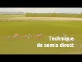 Technique de semis direct